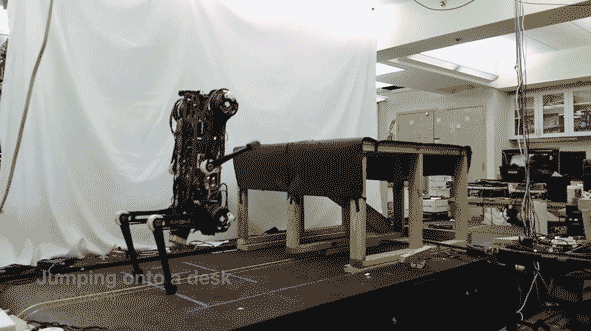 1.gif