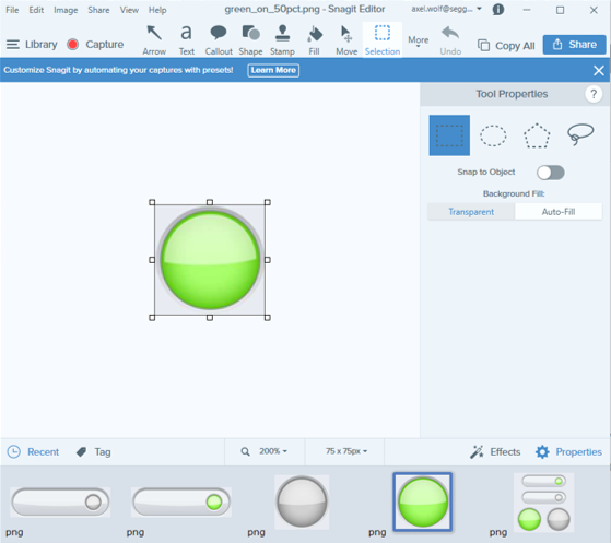 snagit_buttons_1.png