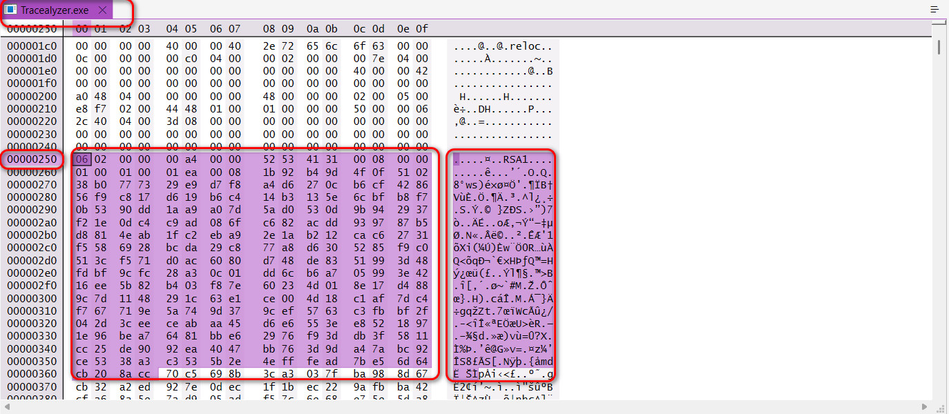 Tracealyzer 4.10.2 Hex Replaced.jpg