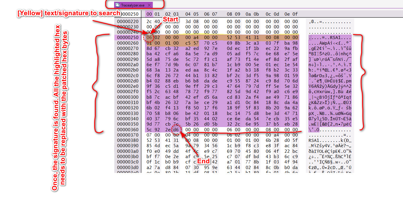 How to patch Tracealyzer Executable Step 1.jpg