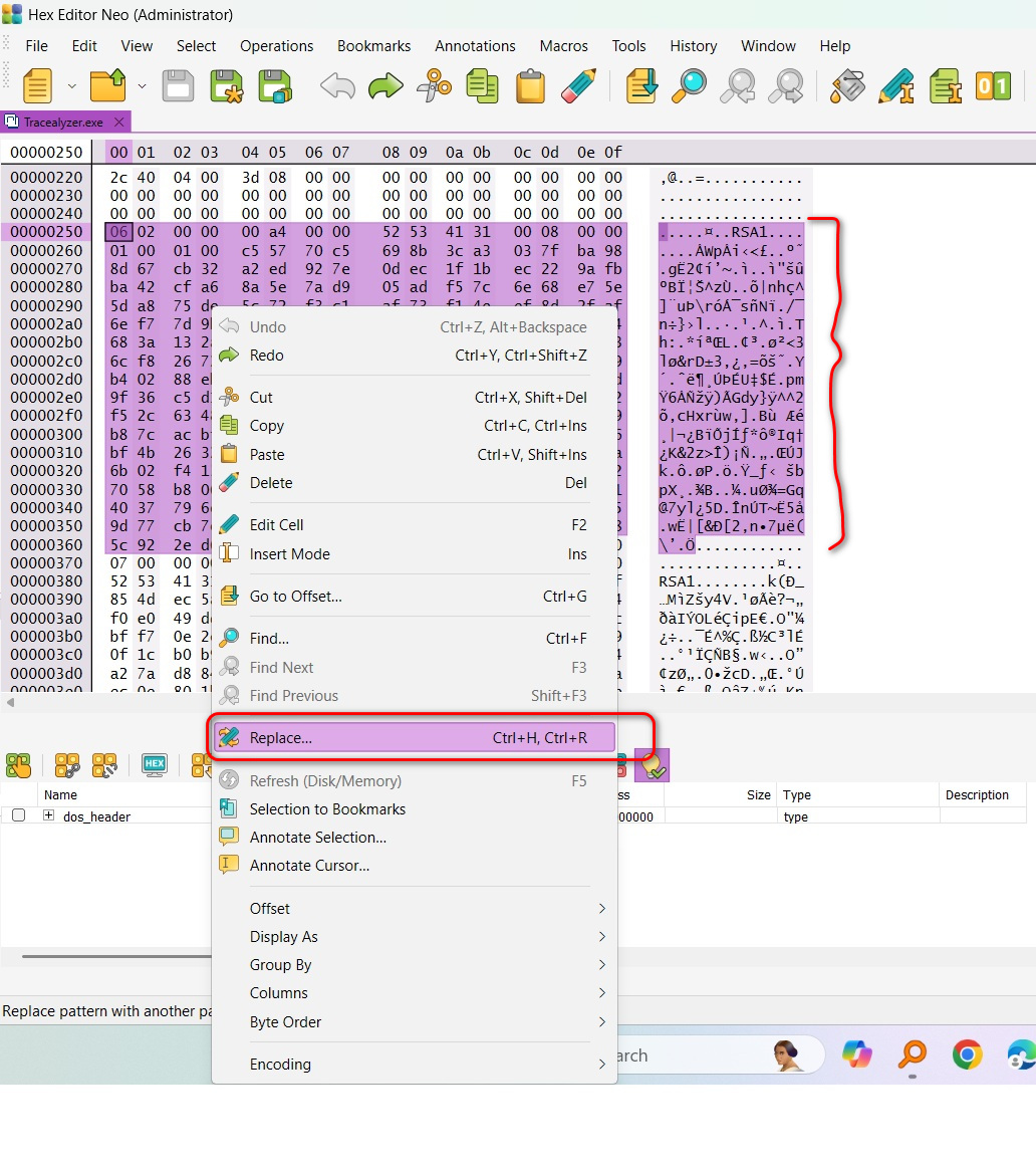 How to patch Tracealyzer Executable Step 2.jpg