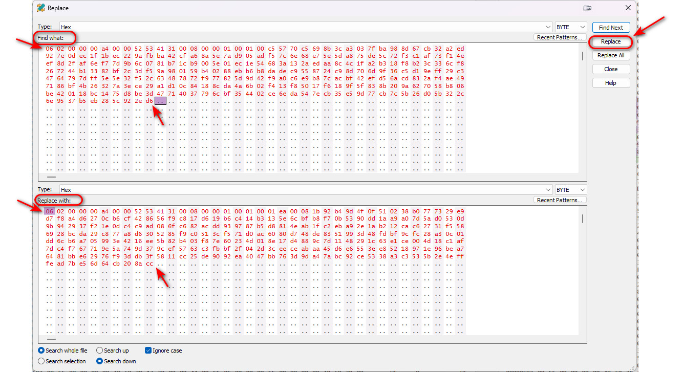 How to patch Tracealyzer Executable Step 3.jpg