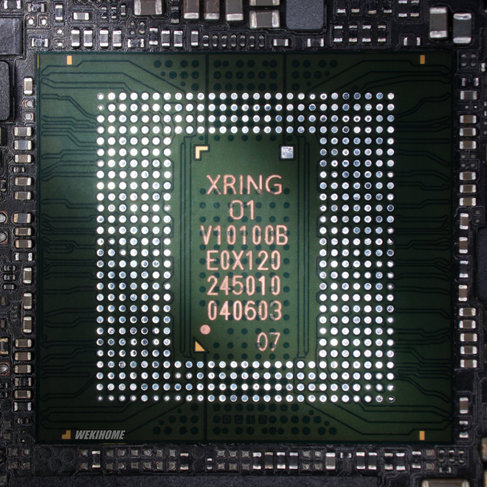 1000008542.jpg