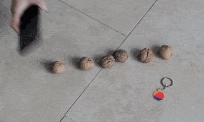 xeSr9XvWZozB%3DyjZYW%3DN2tn217bCSsGERWRWsLAxQ5ExB1484154066690.gif