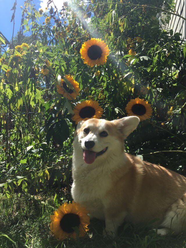 DCIuE1LUIAABR4A.jpg