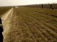 QQͼƬ20160321165657.gif