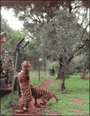 QQͼƬ20160909095652.gif